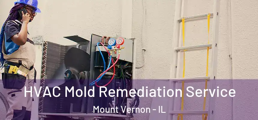  HVAC Mold Remediation Service Mount Vernon - IL