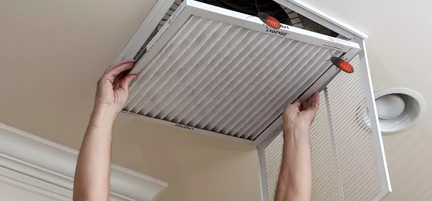 Preventive Cockroach-Proofing for Ducts in Mount Vernon