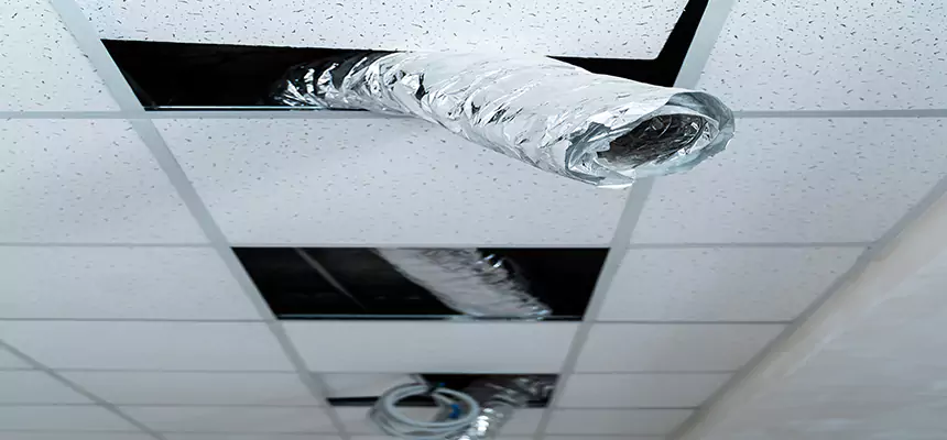 Our Air Duct Pet Hair Removal Services in Mount Vernon, IL