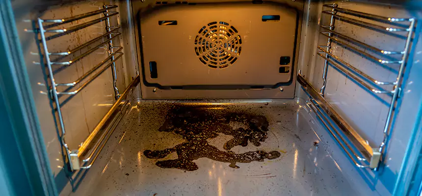 Our Dryer Vent Mold Cleaning Services in Mount Vernon, IL