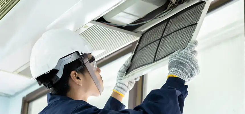 Our Lint Trap Cleaning Service Services in Mount Vernon, IL