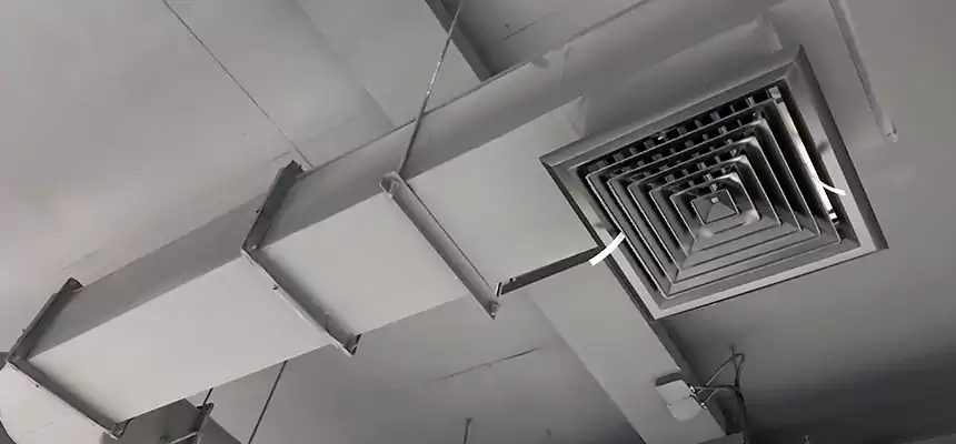 Our Pest Removal From Ducts Services in Mount Vernon, IL