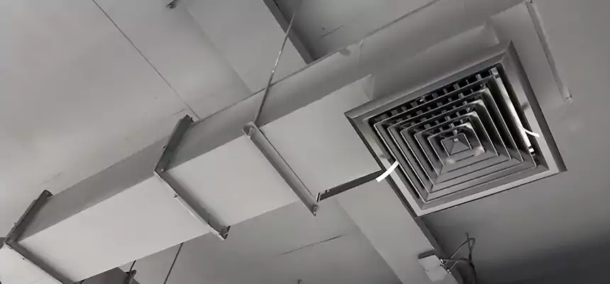 Our Rodent Droppings In Vents Services in Mount Vernon, IL