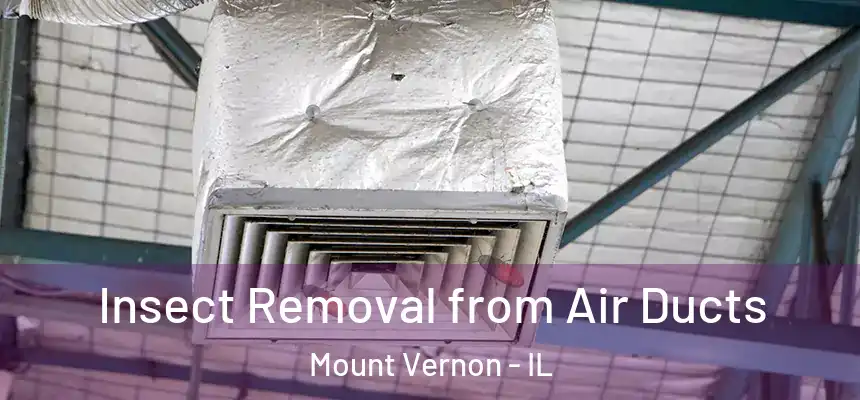  Insect Removal from Air Ducts Mount Vernon - IL