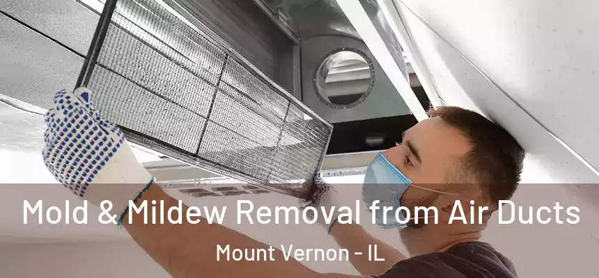  Mold & Mildew Removal from Air Ducts Mount Vernon - IL
