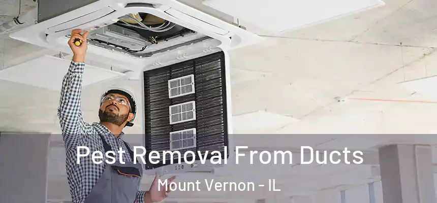  Pest Removal From Ducts Mount Vernon - IL