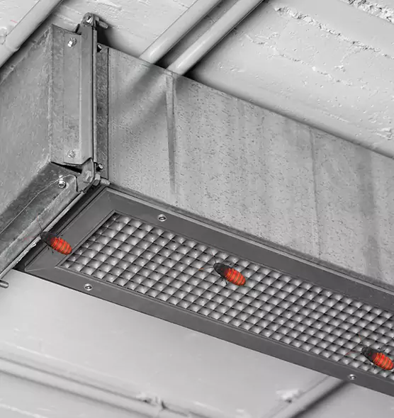 About Air Duct Cockroach Removal in Mount Vernon, IL