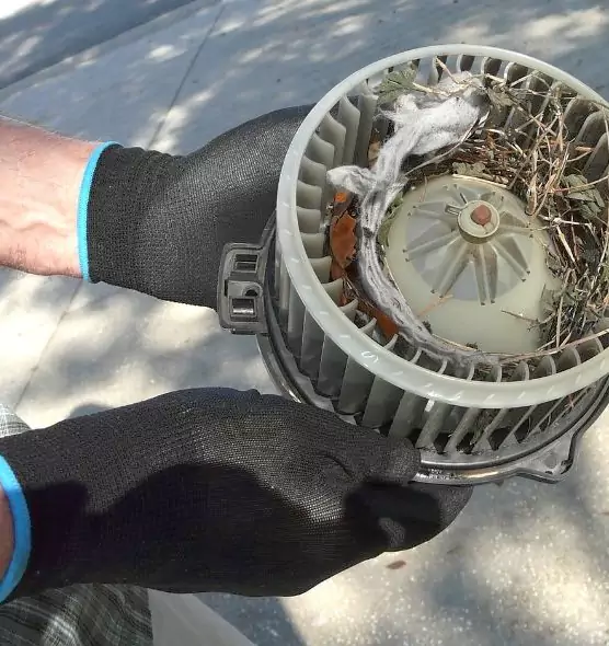 About Air Duct Mice Removal in Mount Vernon, IL