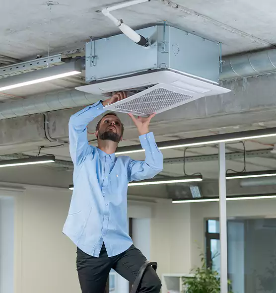 Advanced Rodent Droppings In Vents in Mount Vernon, IL