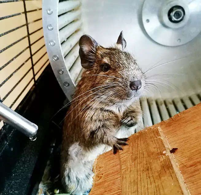 Why Homeowners & Businesses Trust Us Mount Vernon, IL